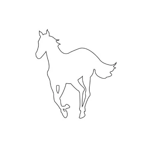 White Pony